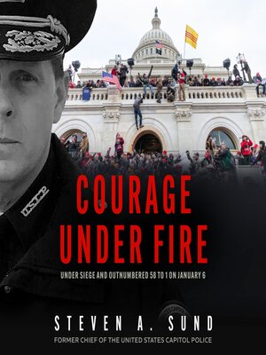 cover image of Courage Under Fire