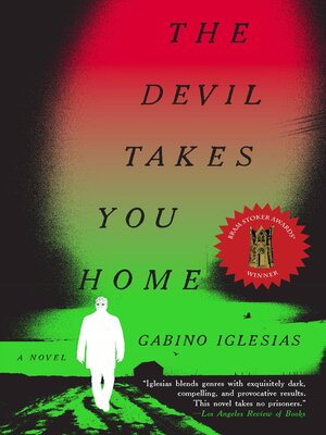 cover image of The Devil Takes You Home