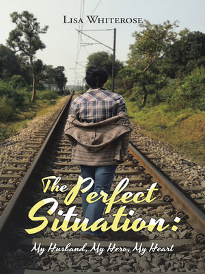 cover image of The Perfect Situation
